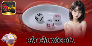 Bắt Cầu Xóc Đĩa